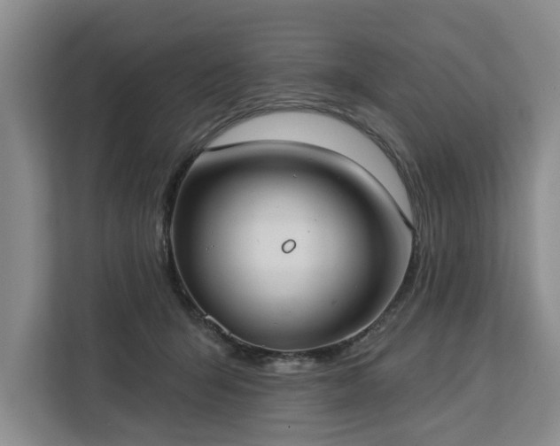 X0000113060415200908281138