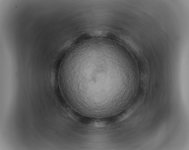 X0000113060416200908281138
