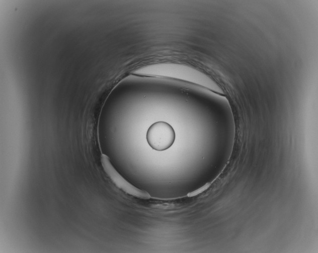 X0000113060417200908281138