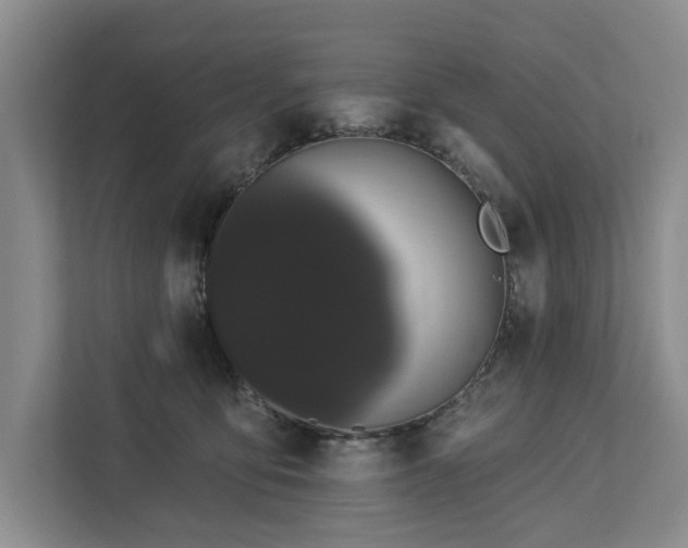 X0000113060419200908281138