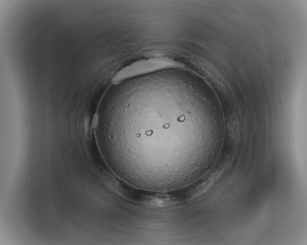 X0000113060420200908281138