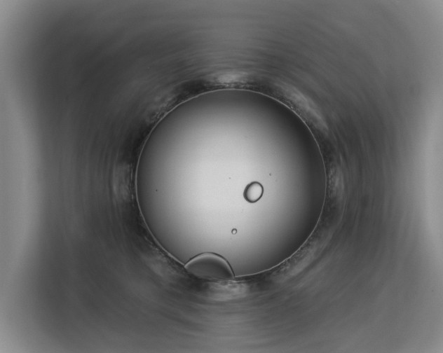 X0000113060421200908281138