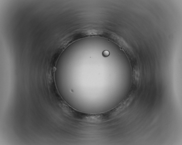 X0000113060422200908281138