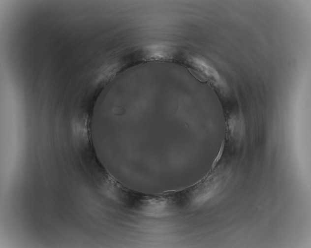 X0000113060423200908281138