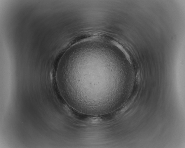 X0000113060424200908281138