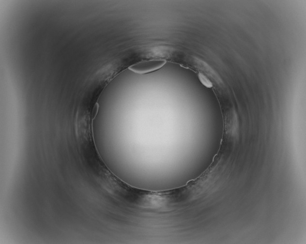 X0000113060425200908281138