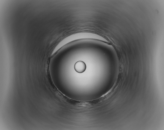 X0000113060427200908281138