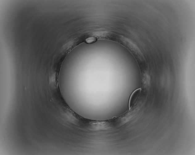 X0000113060428200908281138
