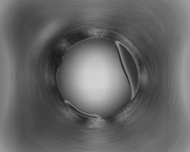 X0000113060429200908281138