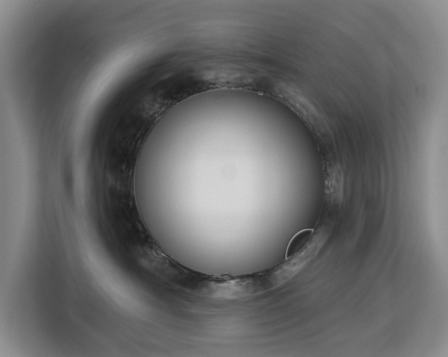 X0000113060430200908281138