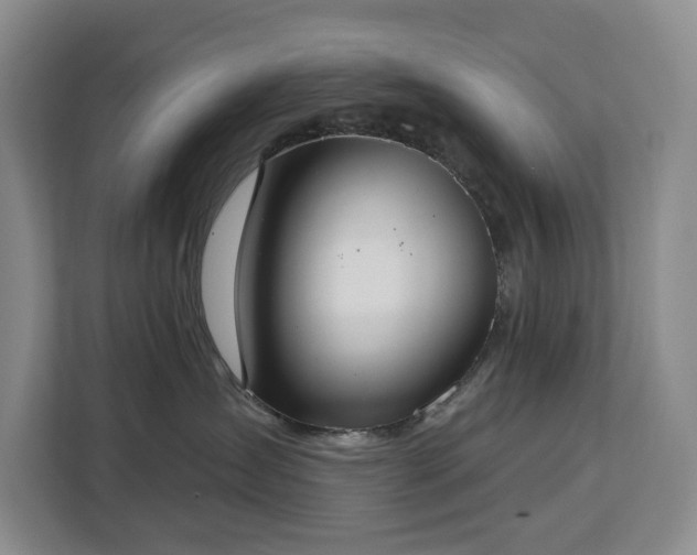 X0000113060431200908281138