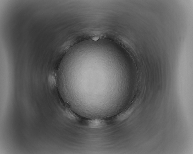 X0000113060432200908281138