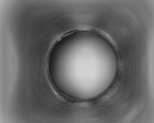 X0000113060433200908281137