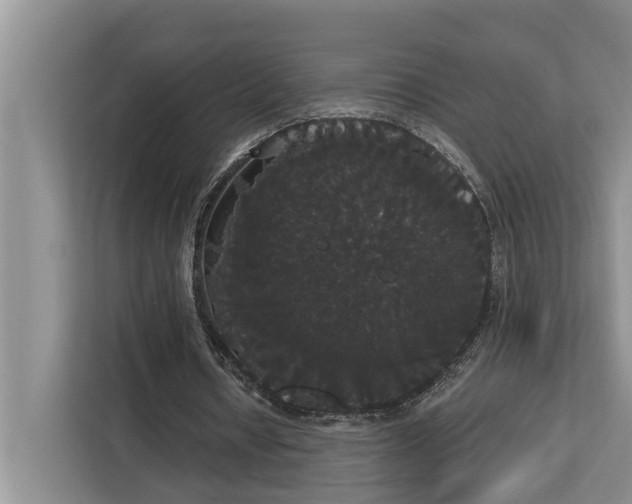 X0000113060434200908281137