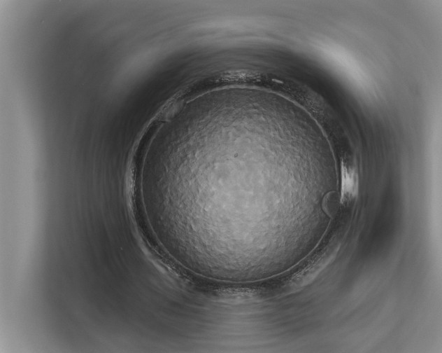 X0000113060435200908281137
