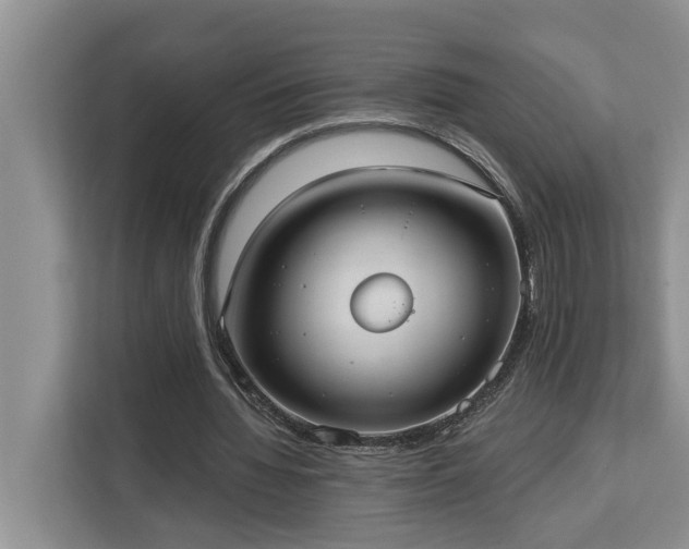 X0000113060436200908281137