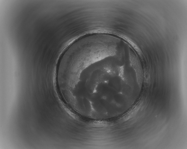 X0000113060437200908281137