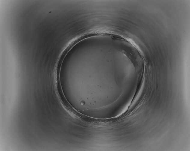 X0000113060438200908281137