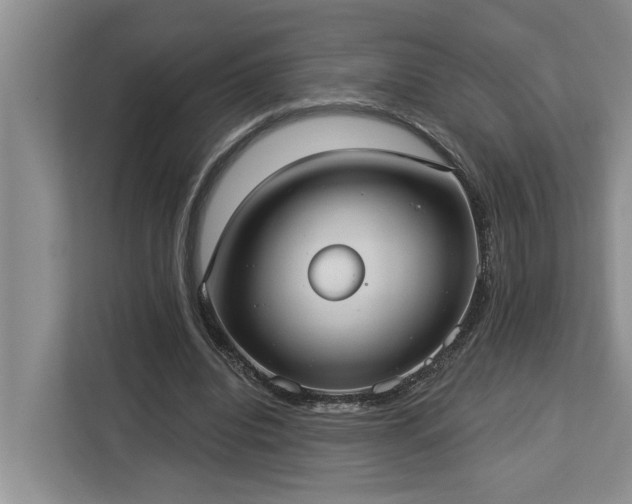 X0000113060440200908281137