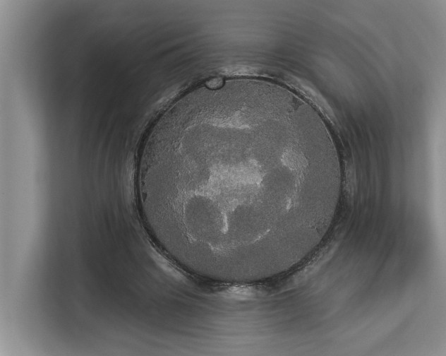 X0000113060441200908281137
