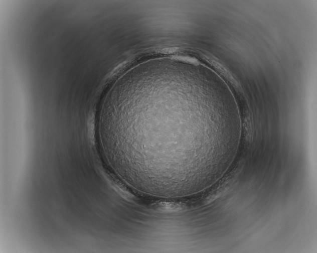 X0000113060442200908281137