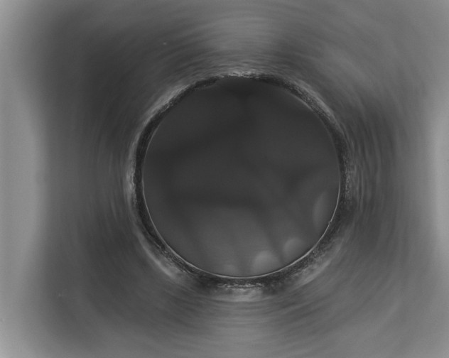 X0000113060443200908281137