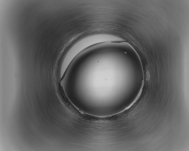 X0000113060444200908281137