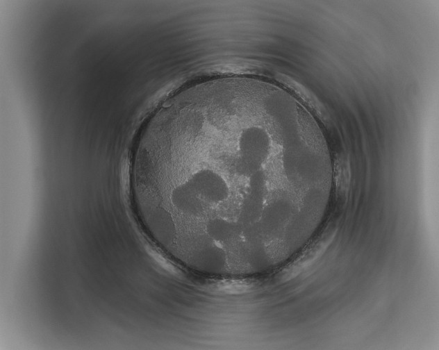 X0000113060445200908281137