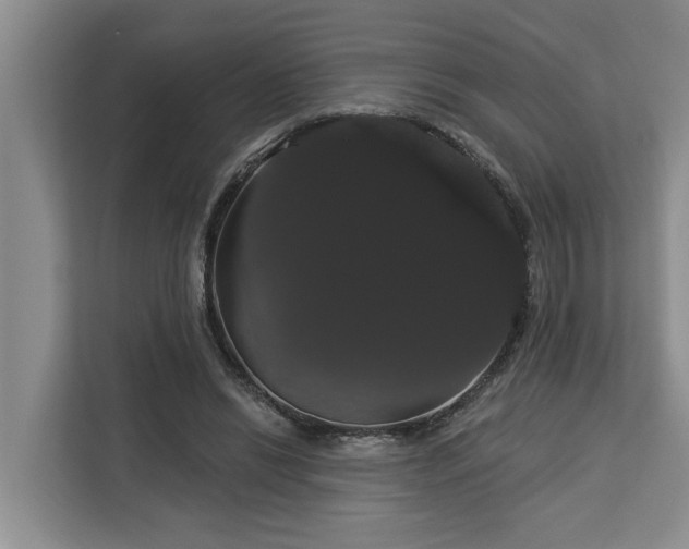 X0000113060446200908281137