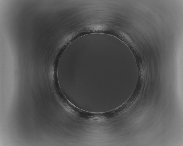 X0000113060447200908281137