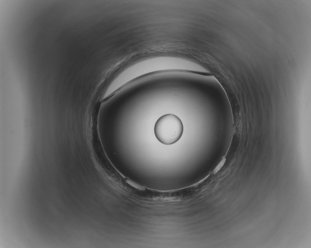 X0000113060448200908281137