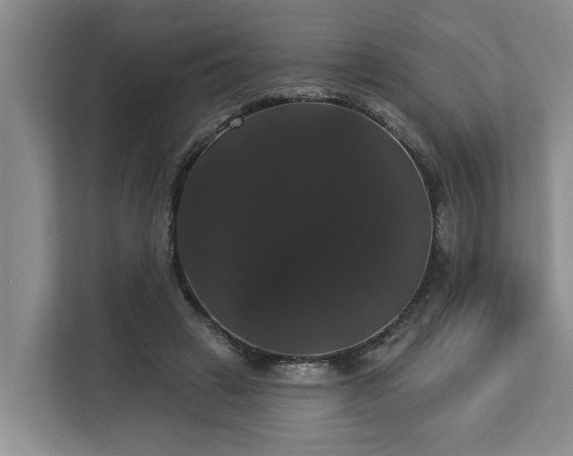 X0000113060449200908281137