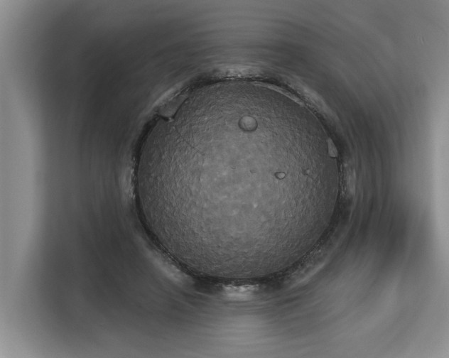 X0000113060450200908281137