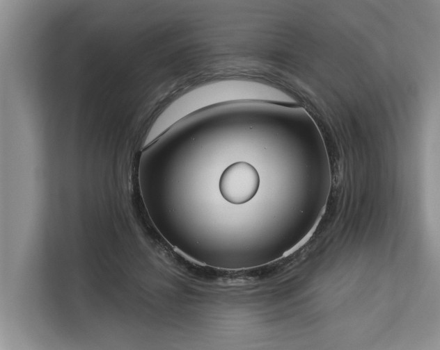 X0000113060452200908281137