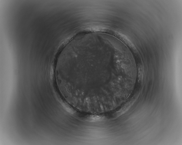 X0000113060453200908281137