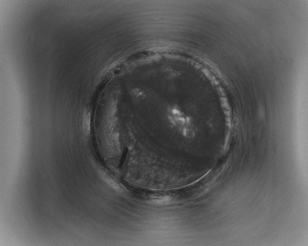 X0000113060454200908281137