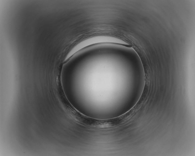 X0000113060456200908281137