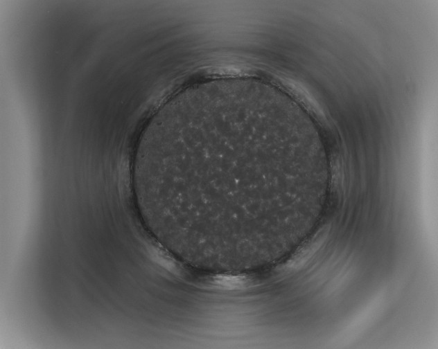 X0000113060457200908281137