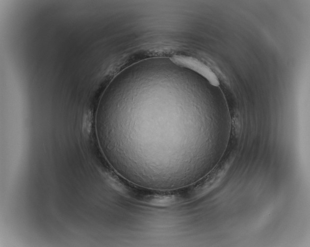 X0000113060458200908281137