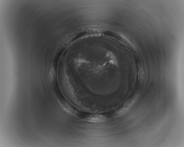X0000113060459200908281138