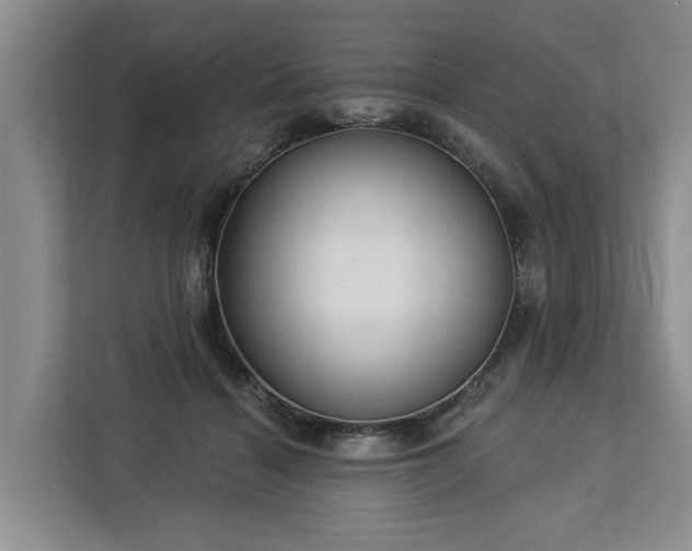 X0000113060460200908281138