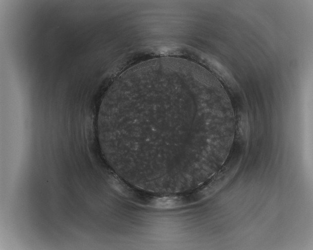 X0000113060461200908281138