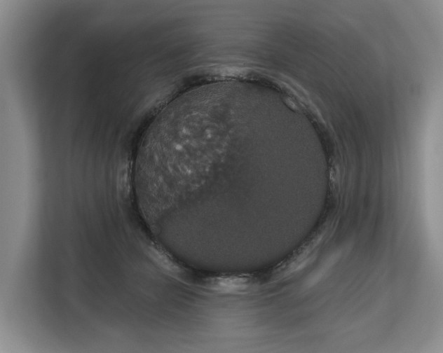 X0000113060462200908281138