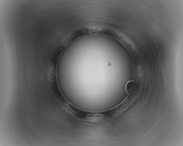 X0000113060463200908281138