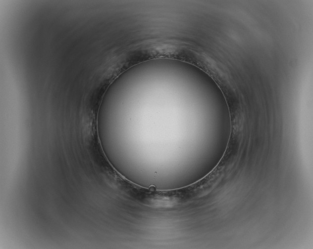 X0000113060464200908281138