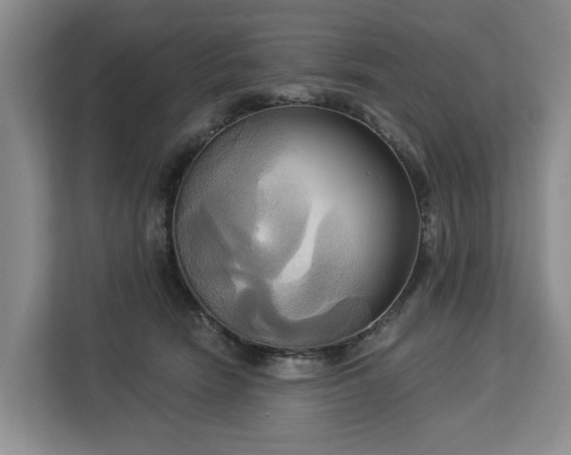X0000113060466200908281138
