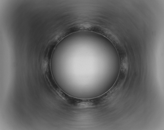 X0000113060468200908281138