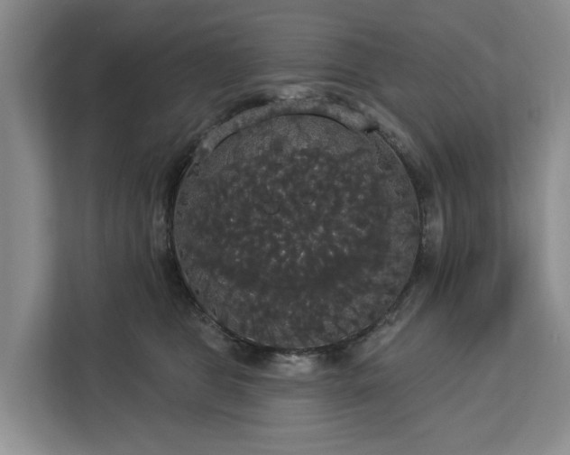 X0000113060469200908281138