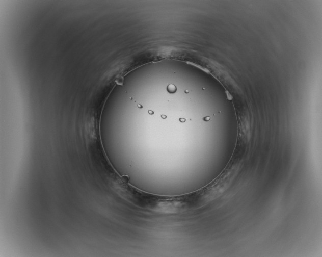 X0000113060470200908281138
