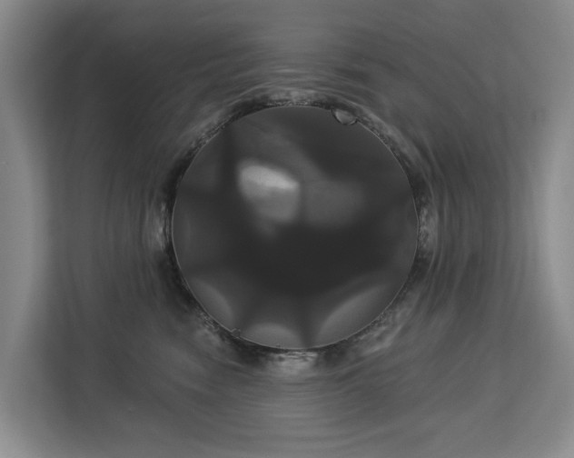 X0000113060474200908281138